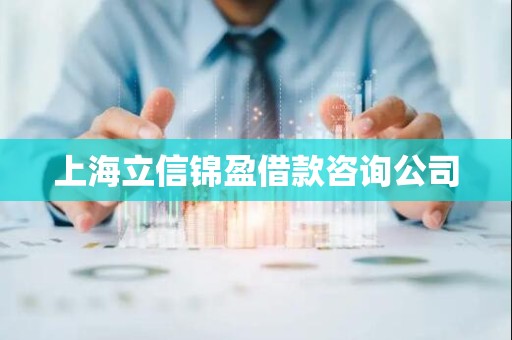 上海立信锦盈借款咨询公司