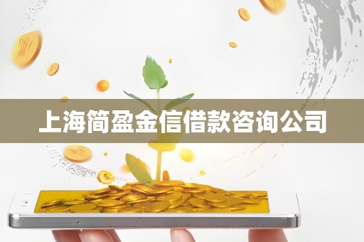 上海简盈金信借款咨询公司