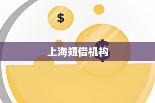 上海短借机构