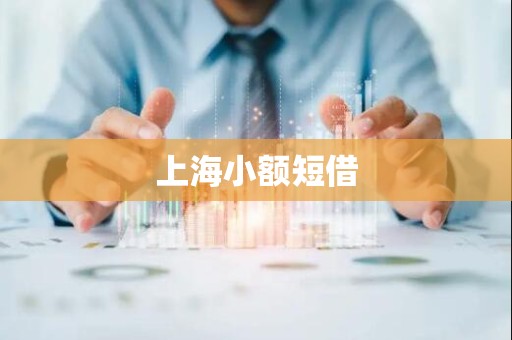 上海小额短借